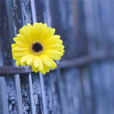 传销“黑名单”，11城上榜