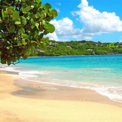 美国股市:标普500指数上涨 交易员欢迎美国推动结束战争的努力